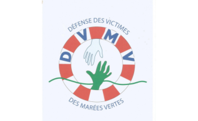 icones/dvmv.png